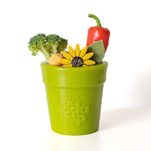 flower-pot-green (1).jpg